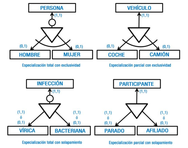 Tipos de especialización.